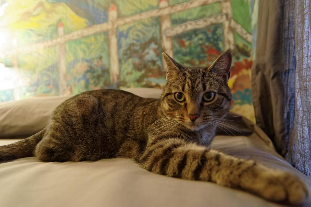 Carlton_arms_14's photo