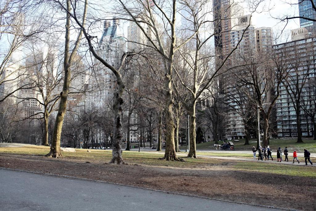 Carnegie_hotel_7's photo