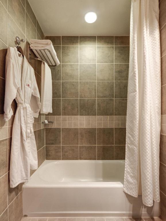 Library_hotel_6's photo