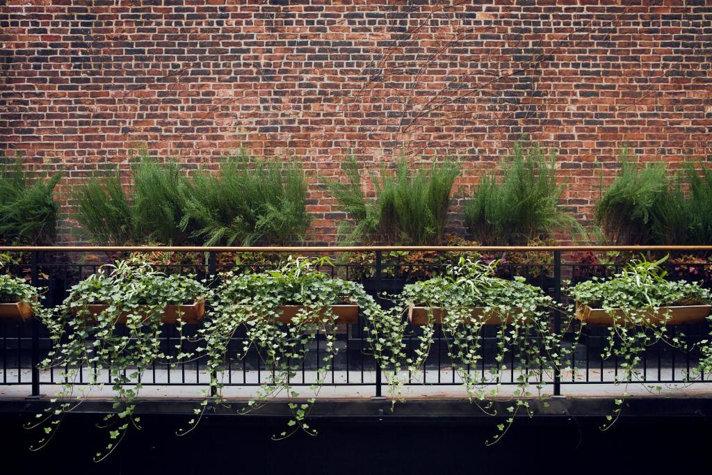 The_broome_13's photo