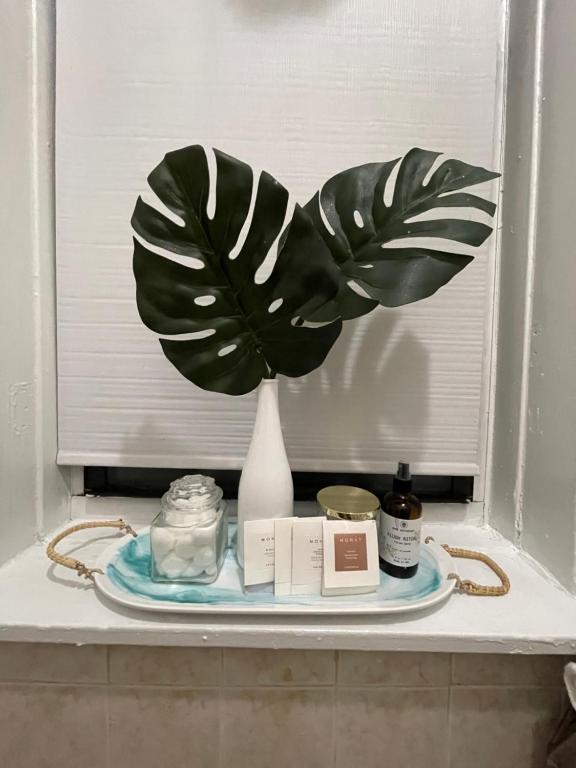 Eclectic_cozy_studio_inwood_15's photo