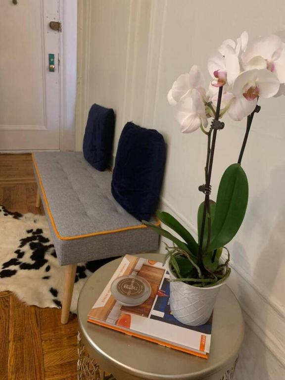 Eclectic_cozy_studio_inwood_40's photo