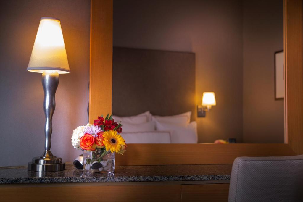 Hotel_giraffe_15's photo