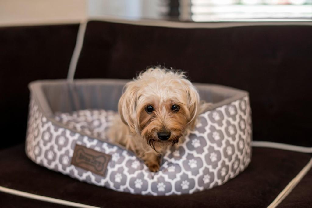 Iberostar_70_19's photo