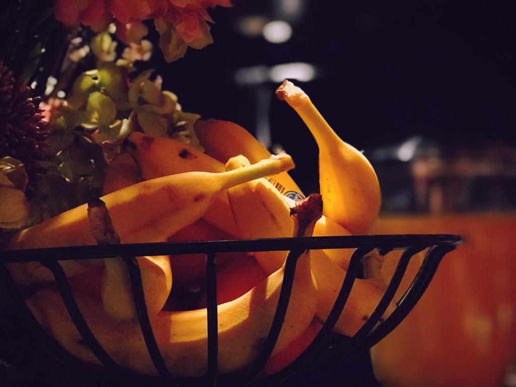 Sanctuary_hotel_30's photo