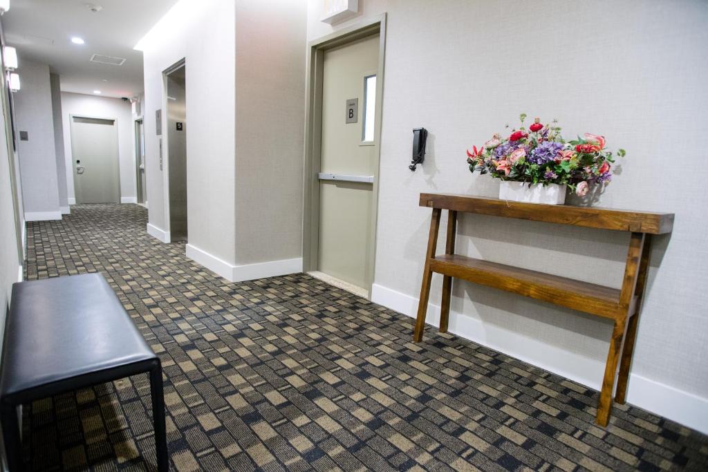 Leon_hotel_41's photo