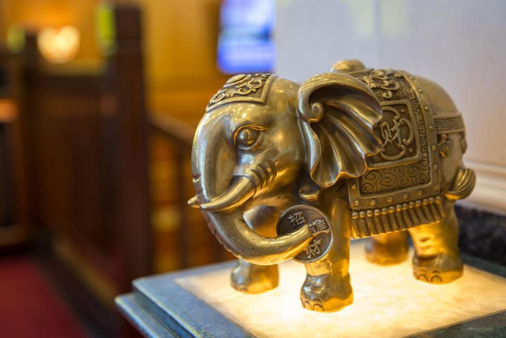 allen_hotel_22's photo