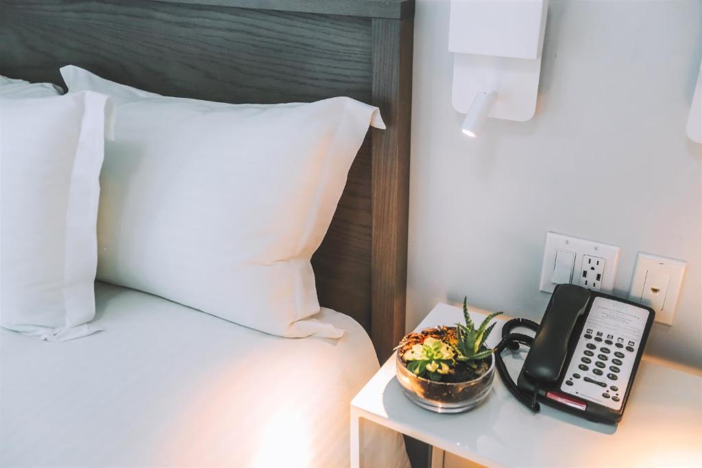 Washington_jefferson_7's photo