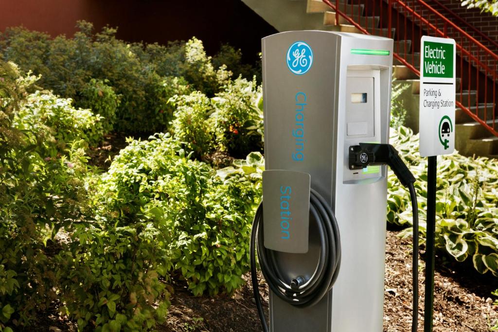 Hampton_inn_10's photo