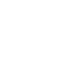 High Performance Icon