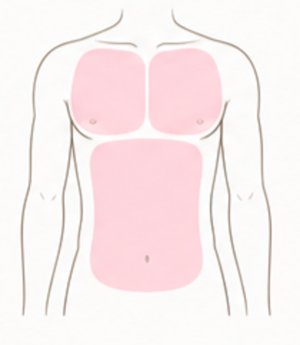 Chest / Abdomen