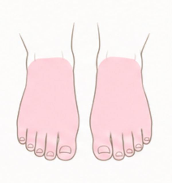 Feet