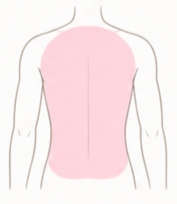 Full Back