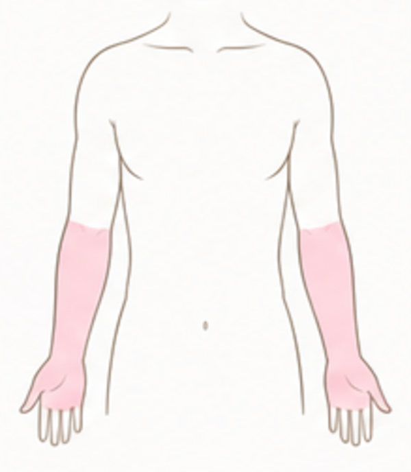 Lower Arm