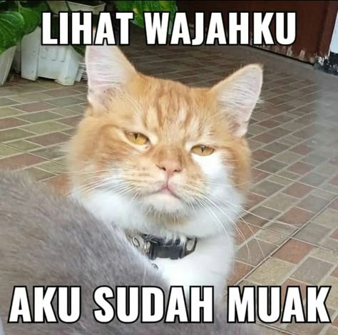 DEWA11: Sumber Cuan Game Slot Online Depo 20k Wd 1 Juta Hari Ini - WooCommerce eCommerce