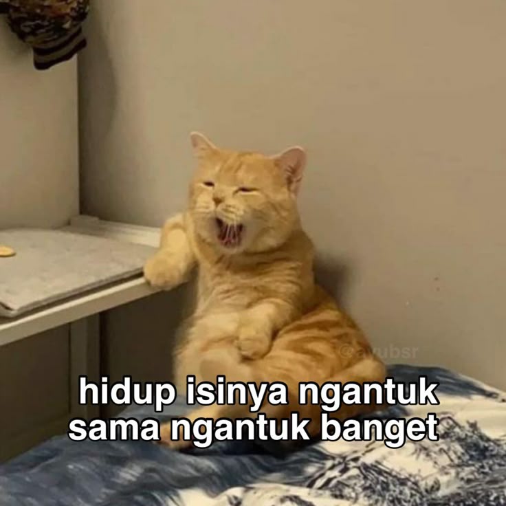 NAGAWIN100: Penyedia Slot Gacor Online Terlengkap & Mudah Jp 2025 - WooCommerce eCommerce