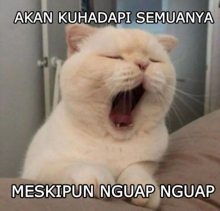 DEWA138: Aplikasi Maxwin Slot Online Depo 10K Anti Rungkat - WooCommerce eCommerce