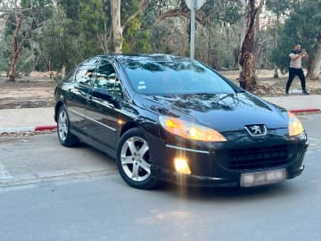 Peugeot Peugeot 407 2005 — photo 4