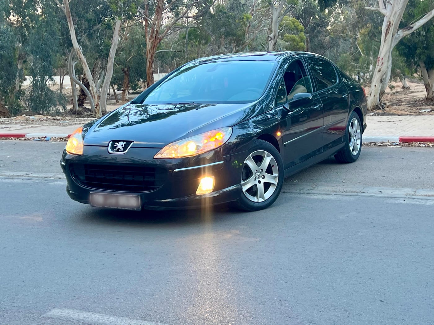 Peugeot 407 2005 — photo 1