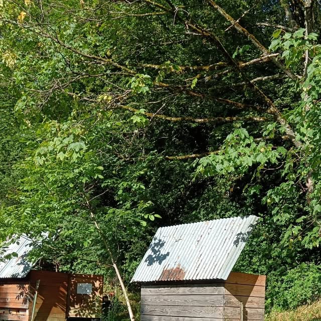 Dernière publication Instagram