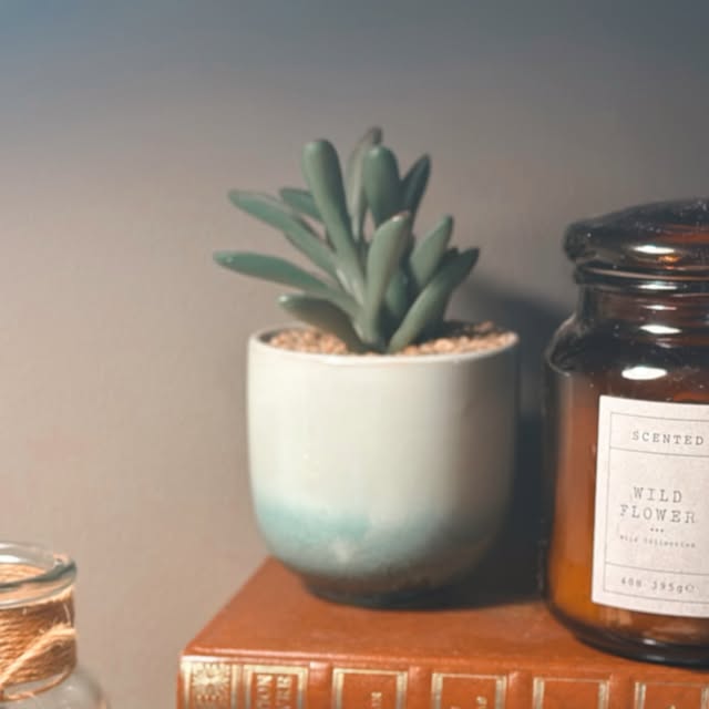 Dernière publication Instagram