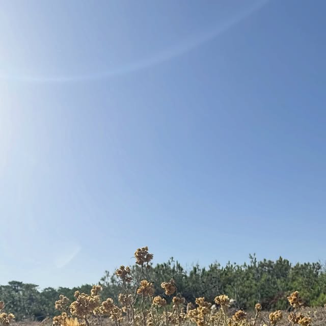 Dernière publication Instagram