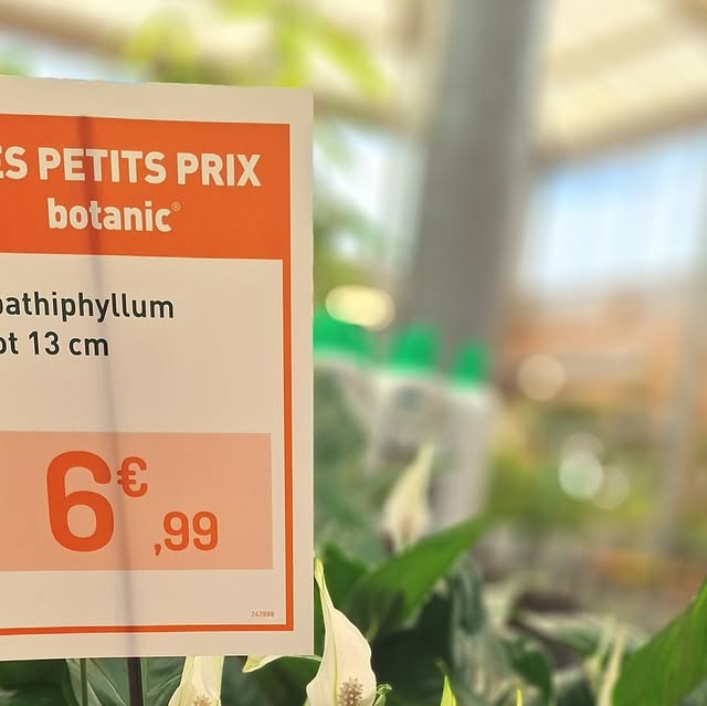 Dernière publication Instagram