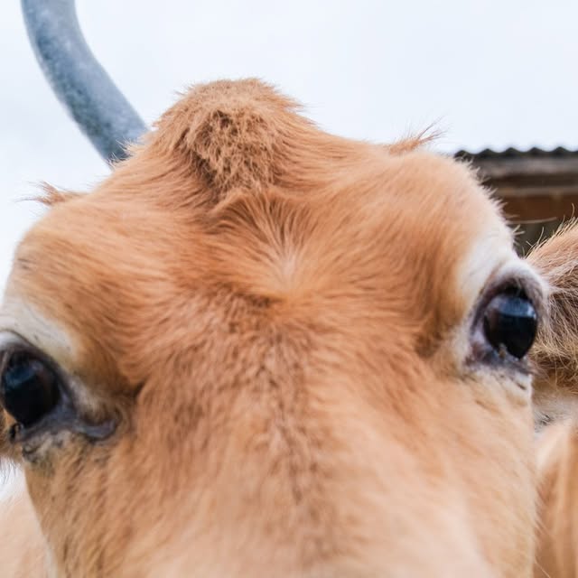 Dernière publication Instagram