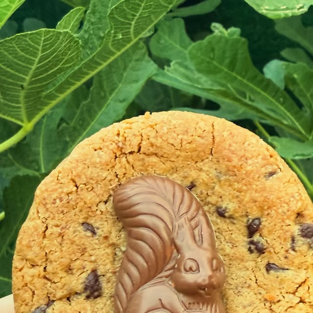 Dernière publication Instagram