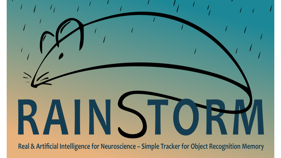 RAINSTORM Logo