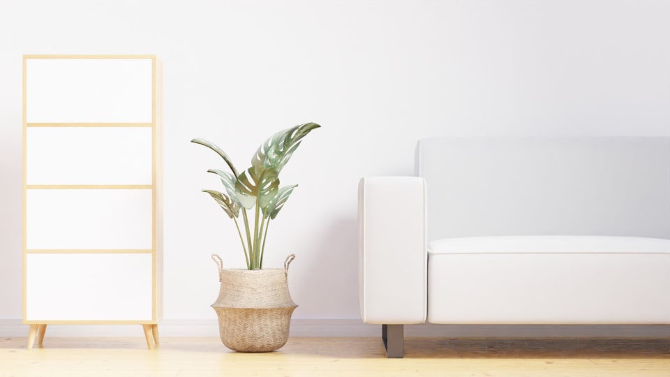 Clear Your Space, Clear Your Mind: Boost Productivity
