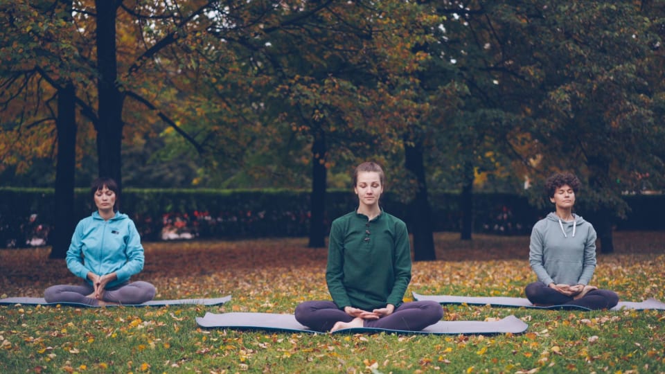 Breathe & Focus: Micro-Mindfulness for Clarity