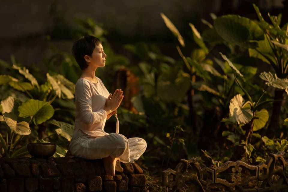 Sow Serenity: Daily Habits for Lasting Inner Peace
