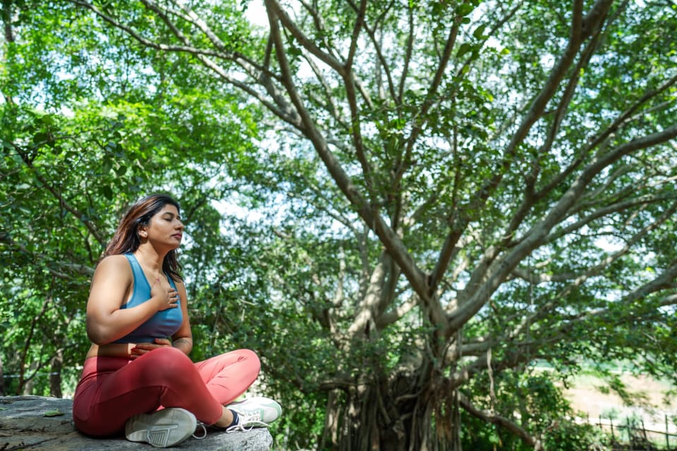 Sow Serenity: Daily Habits for Lasting Inner Peace
