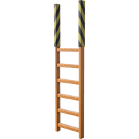 Ladder