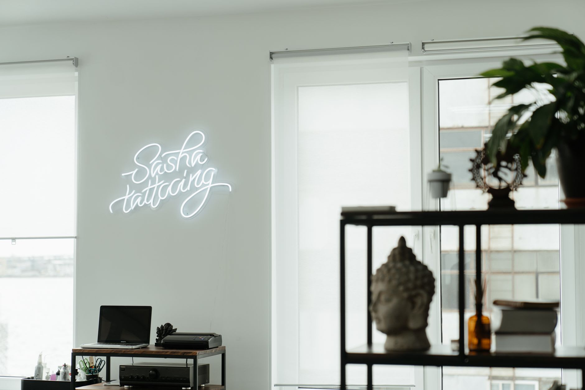 Snake Neon Signs to Electrify Your Space