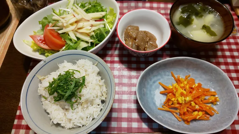 今日のぬぬめし しょうがごはん