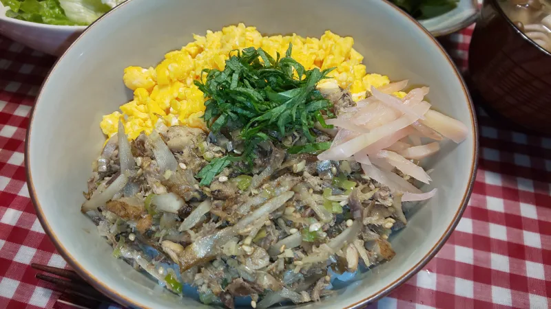 今日のぬぬめし 二色そぼろ丼