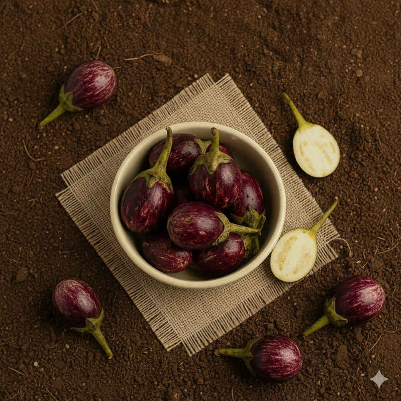 Organically Grown Brinjal