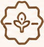 Wellness Clinics