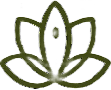 Ayurveda Clinics 