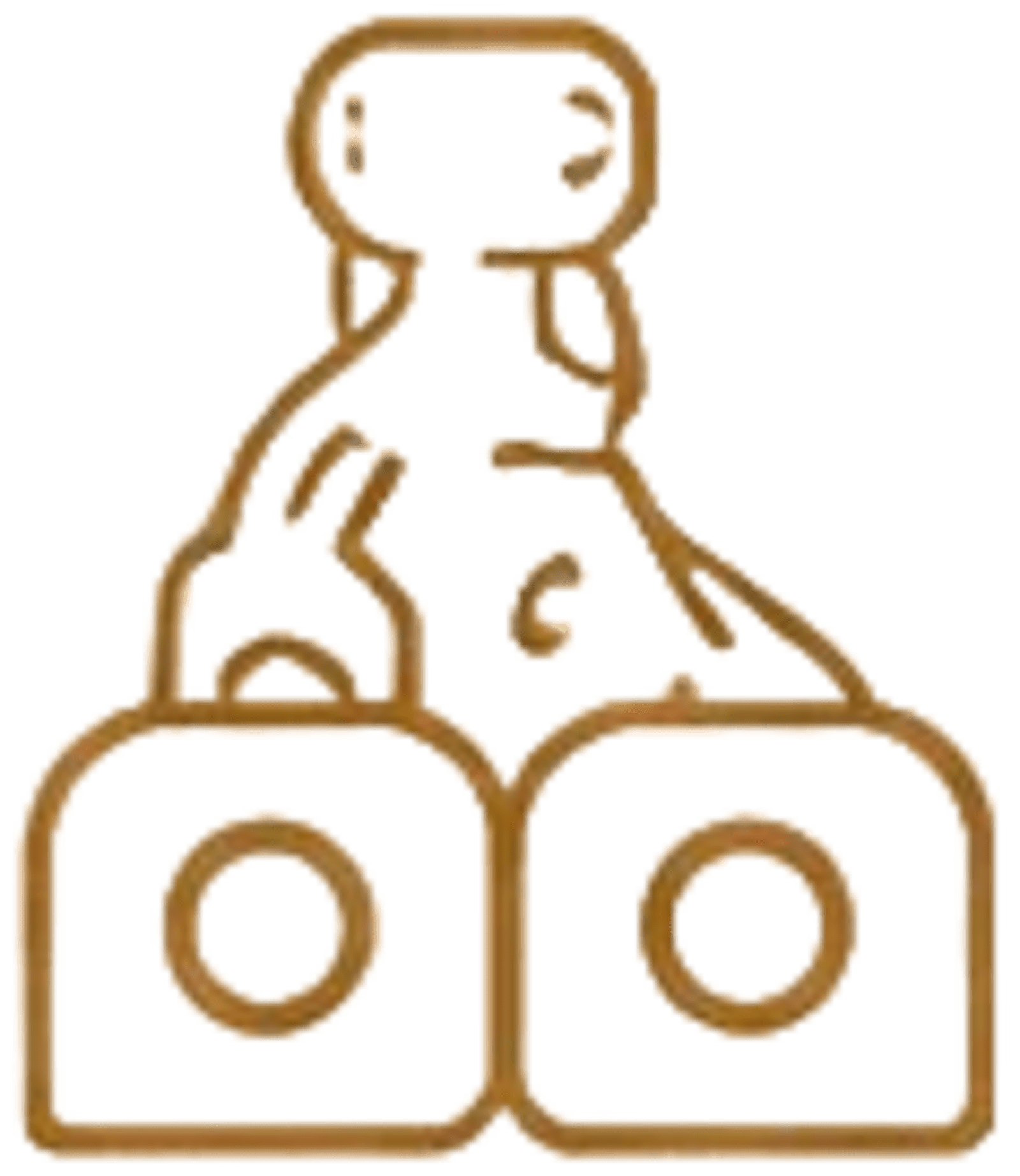 In-house Manufacturing