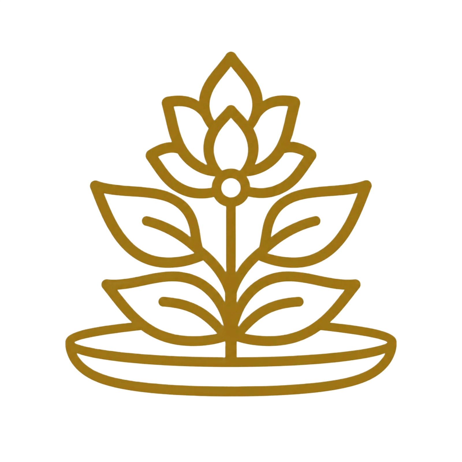 Turnkey Wellness Solutions