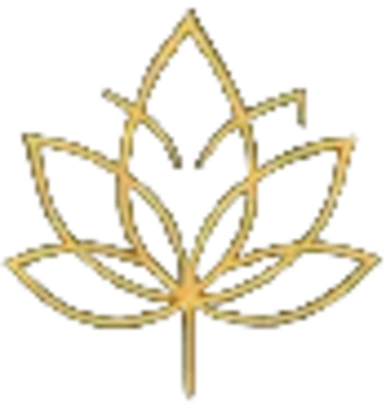 Authentic Ayurveda