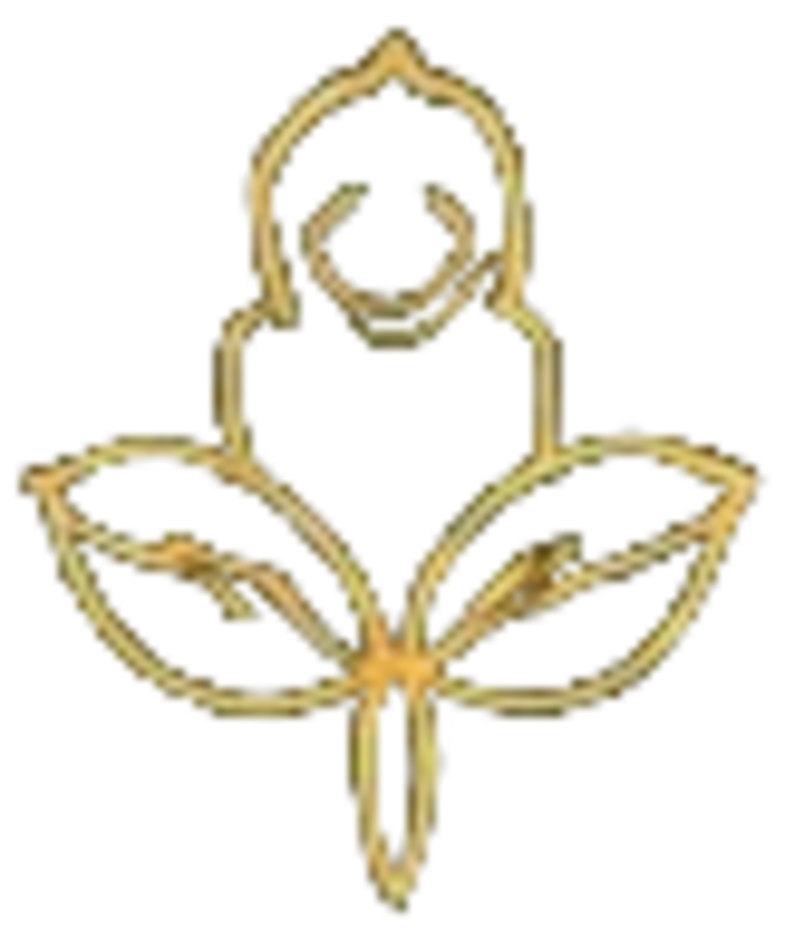 Holistic Well-being