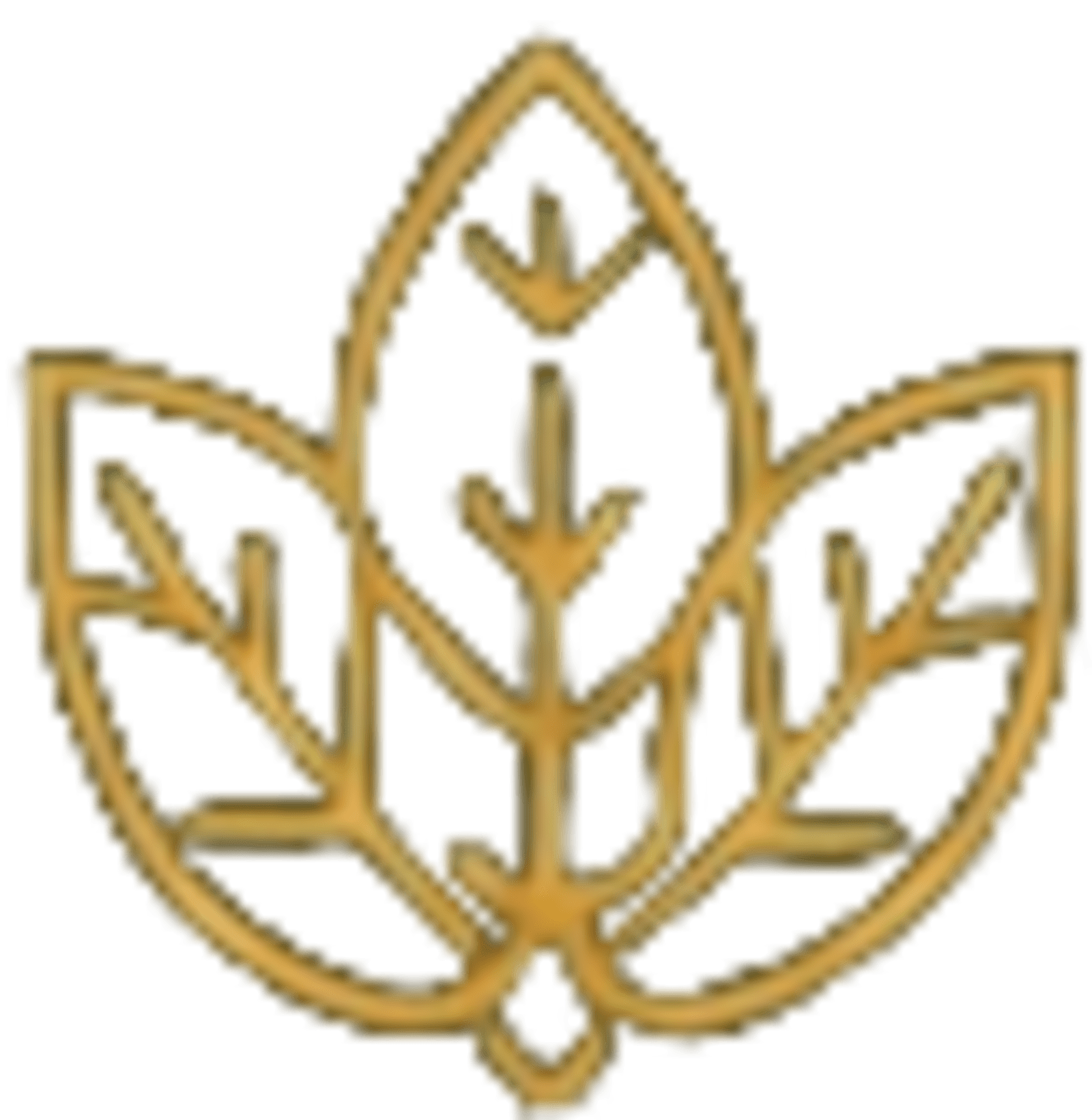 Ayurvedic