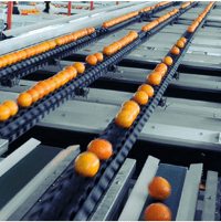 Precise Density Sorting: Refined Classification for Fruits and Vegetables