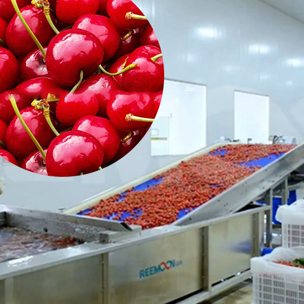 Cherry