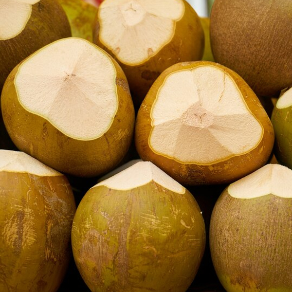 Coconut