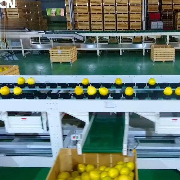 Pomelo
